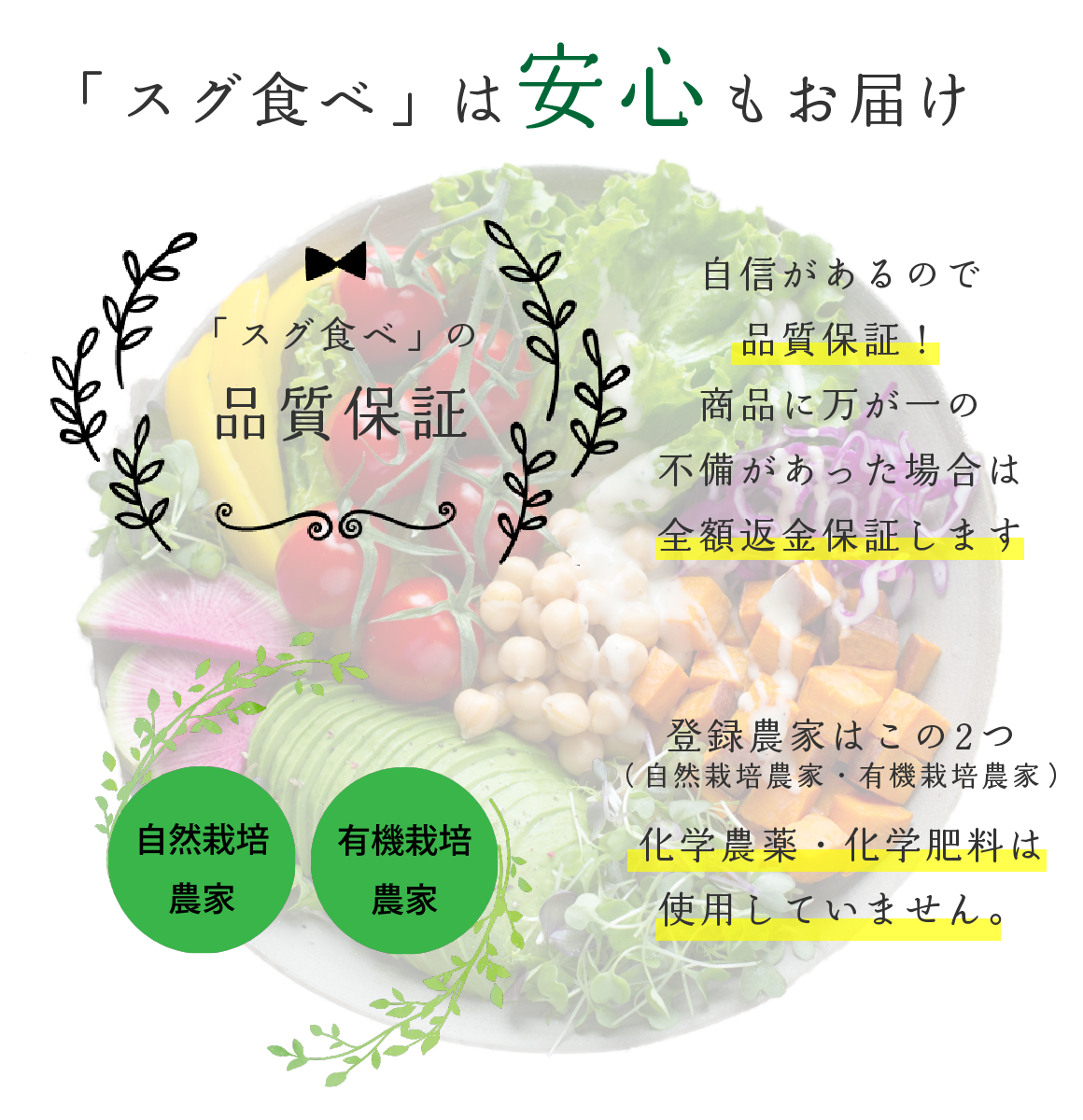 安心な野菜