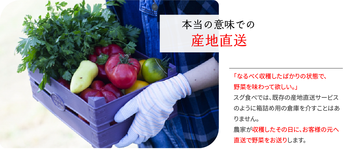 理由1