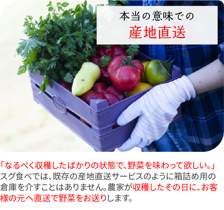 理由1