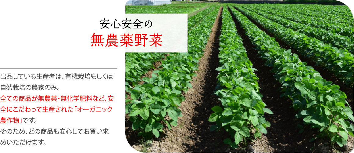 理由2
