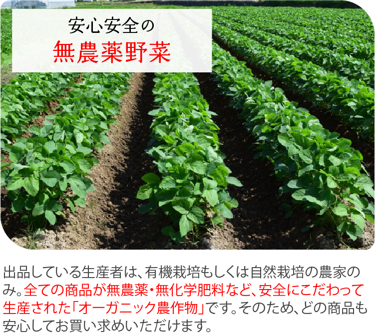 理由2