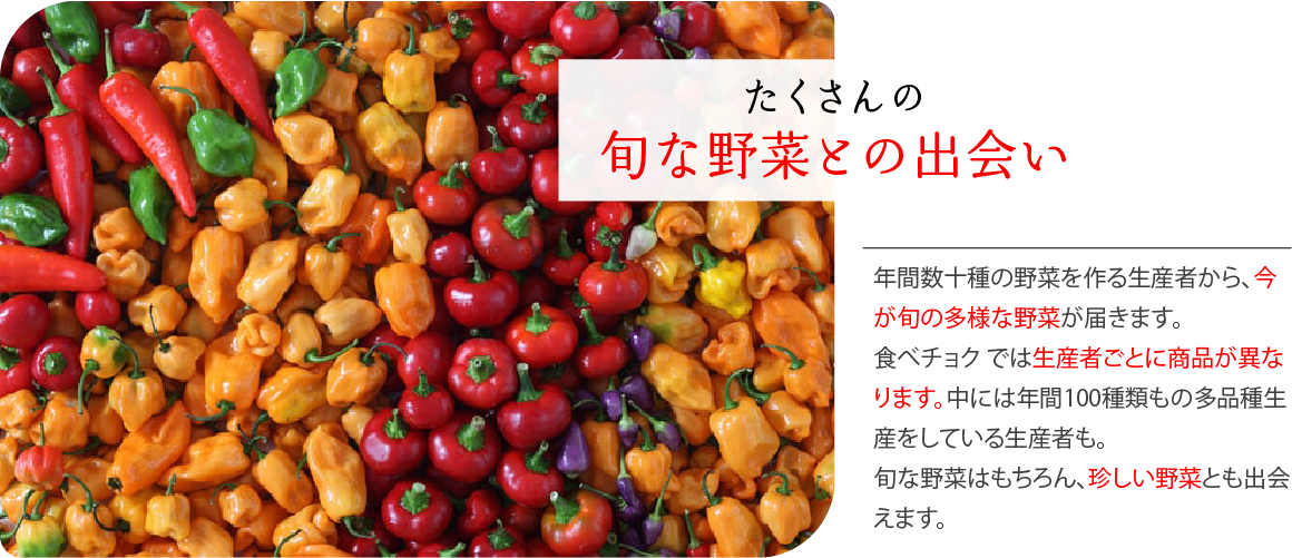 理由3